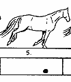 rg5.gif (1011 Byte)