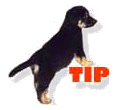 tipwelp.gif (5241 Byte)